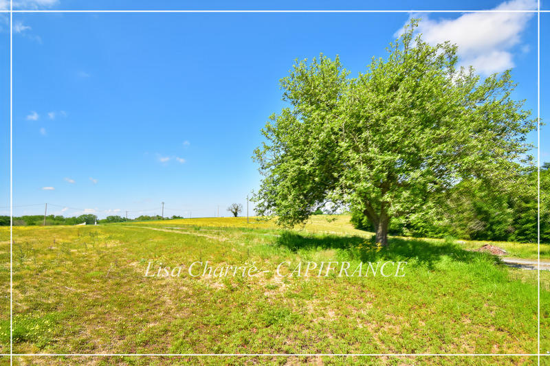 Propriété - 244 m² - 8 pièces