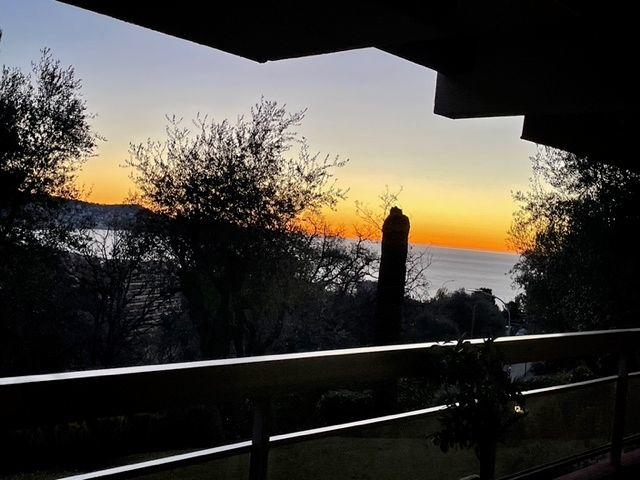 Studio - 35 m² - 1 pièce