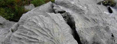 Enquête Sur les Précieuses Sources d'Eau !