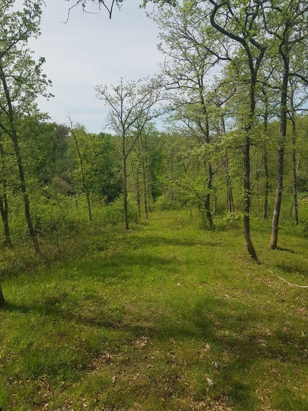 Maison ancienne - 235 m² - 10 pièces