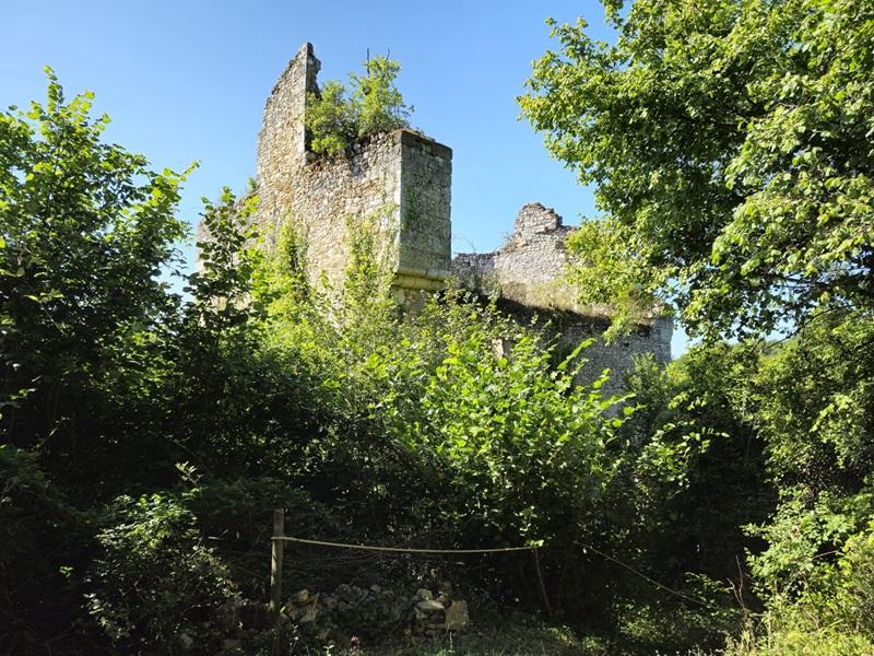 Visite médiévale gourmande