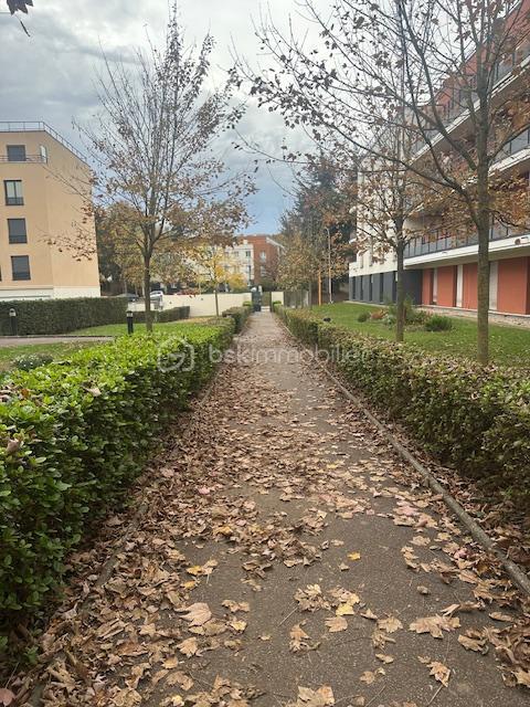 Studio - 20 m² - 1 pièce