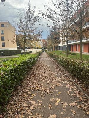 Studio - 20 m² - 1 pièce