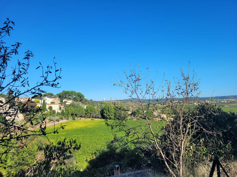 Maison - 50 m² - 1 pièce