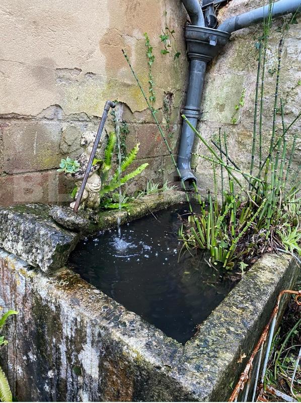 Maison charentaise - 220 m² - 6 pièces