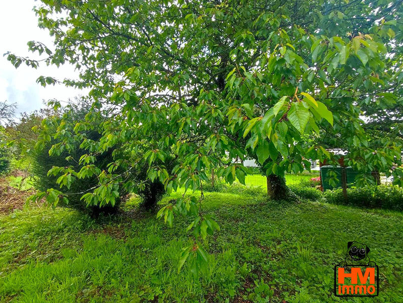 Maison - 115 m² - 6 pièces