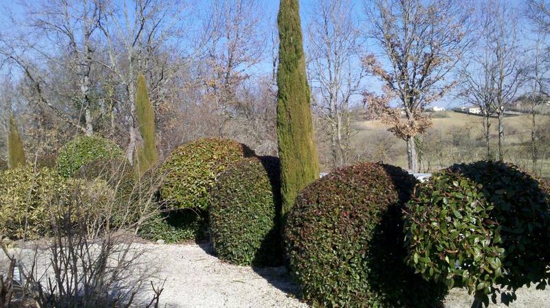 Espace vert parc et jardin, élagage
