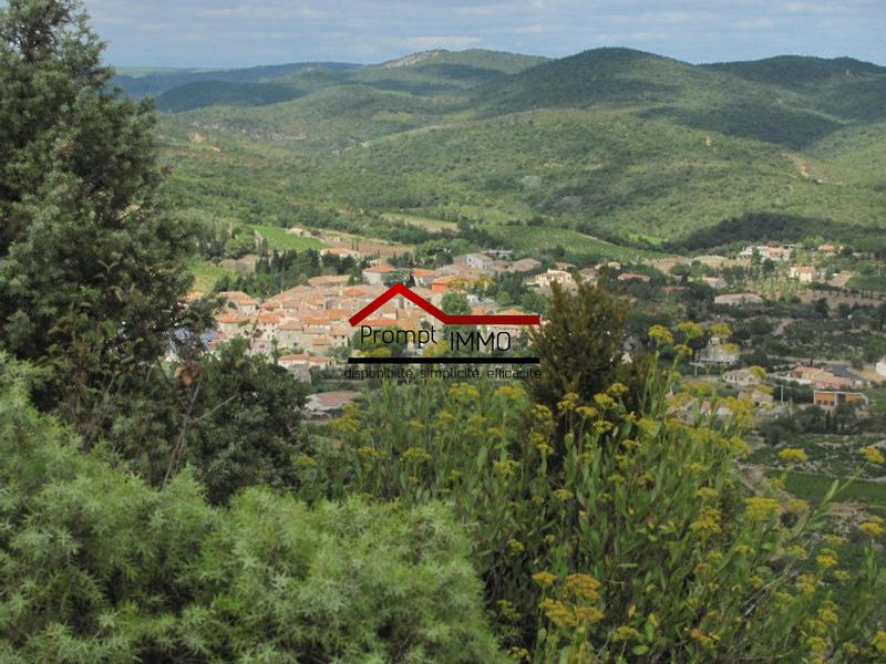 Terrain agricole - 23 648 m²