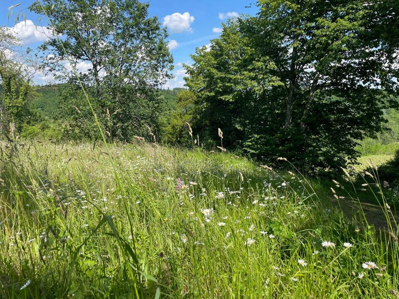 Maison - 300 m² - 12 pièces