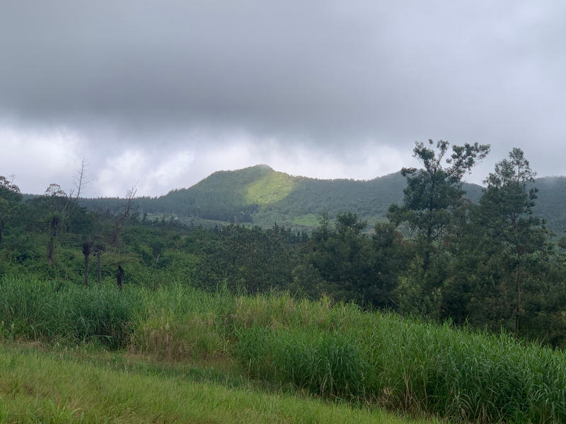 Propriété - 320 m² - 10 pièces