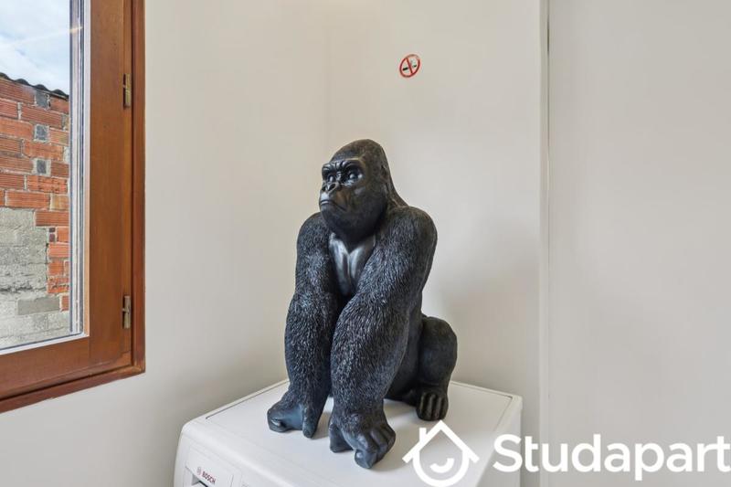 Appartement - 50 m² - 2 pièces