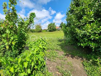 Terrain constructible - 1 026 m²