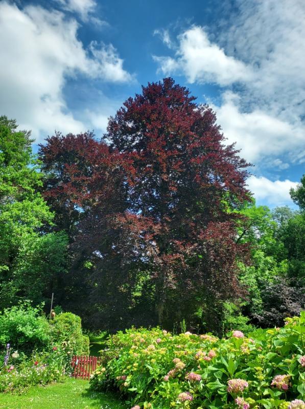 Maison de campagne - 187 m² - 13 pièces