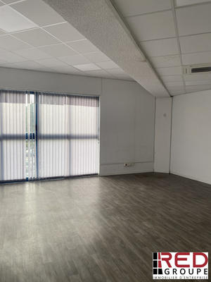 Bureau - 165 m²