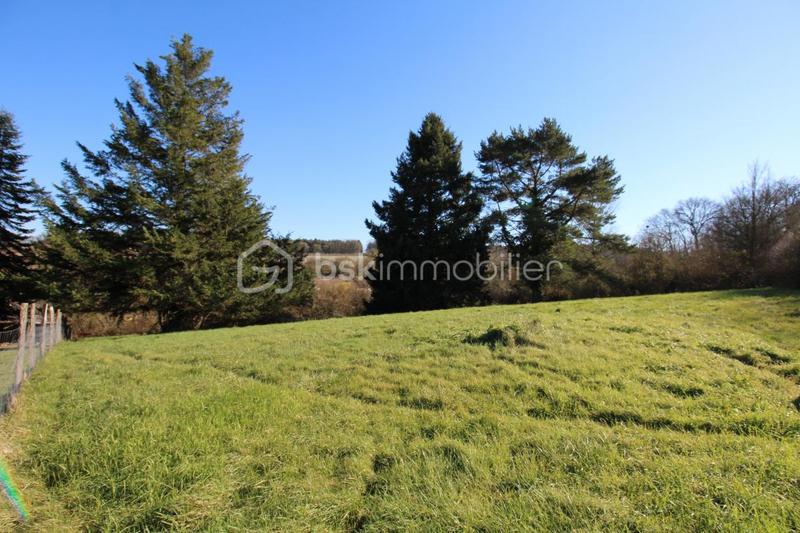 Terrain - 789 m²