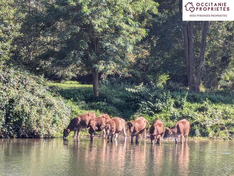 Maison de village - 154 m² - 6 pièces