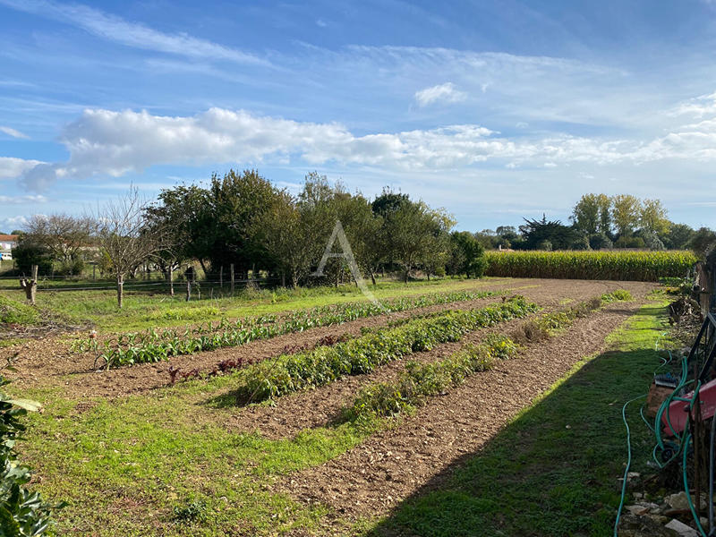 Maison - 137 m² - 5 pièces