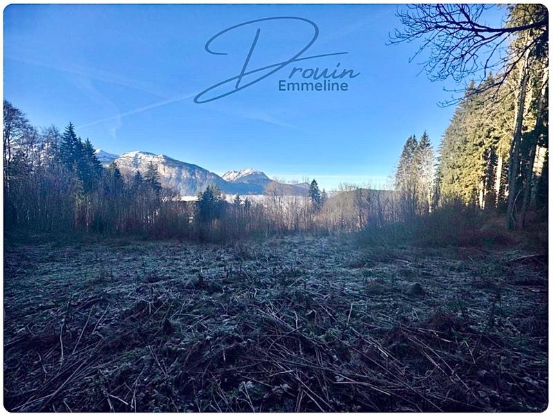 Terrain agricole - 15 405 m²