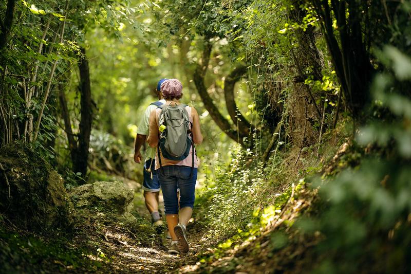 Randonnée pédestre