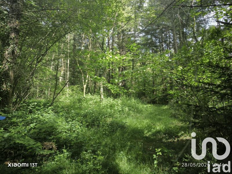 Terrain - 30 452 m²