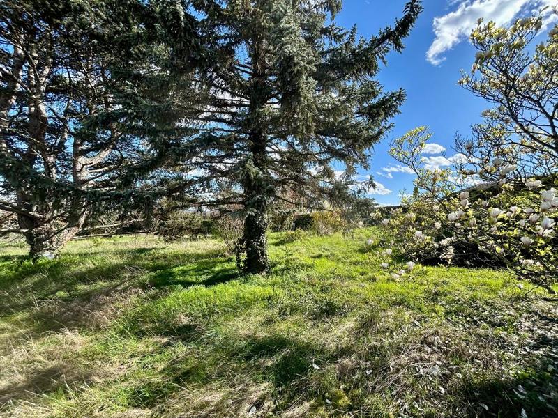 Terrain constructible - 1 231 m²