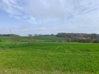 Maison contemporaine - 115 m² - 6 pièces