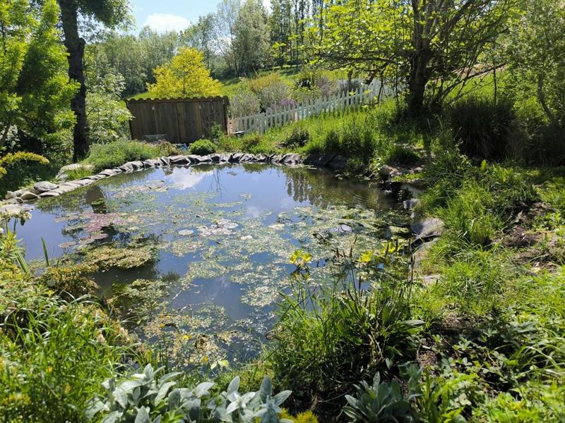 Propriété - 374 m² - 11 pièces