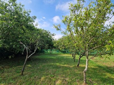 Terrain constructible - 1 947 m²