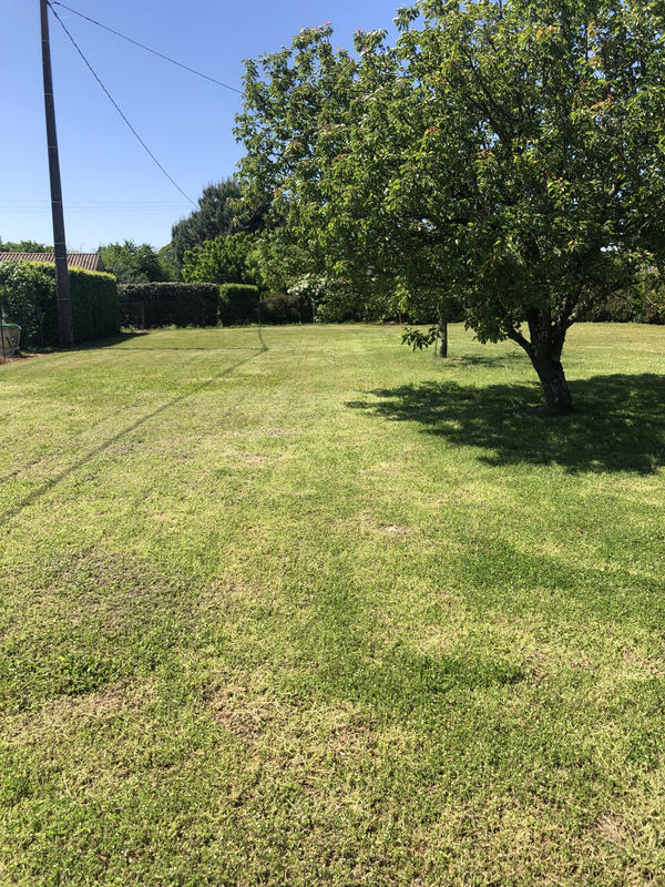 Maison - 120 m² - 3 pièces