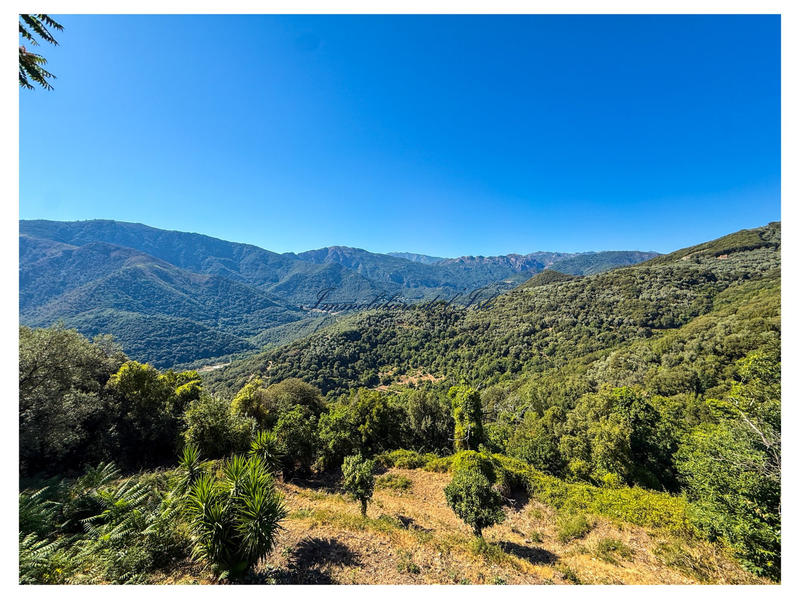 Maison - 327 m² - 11 pièces