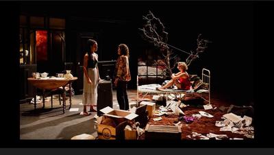 Sorcières (titre provisoire)