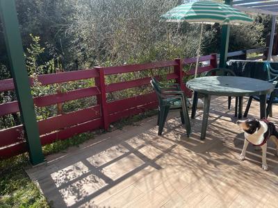 Maison - 35 m² - 3 pièces