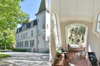 Château - 495 m² - 13 pièces