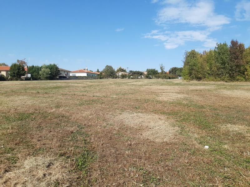 Terrain constructible - 8 711 m²