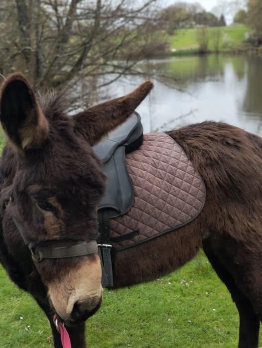 Pâques à la ferme du petit âge