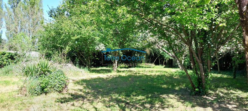 Maison ancienne - 90 m² - 5 pièces