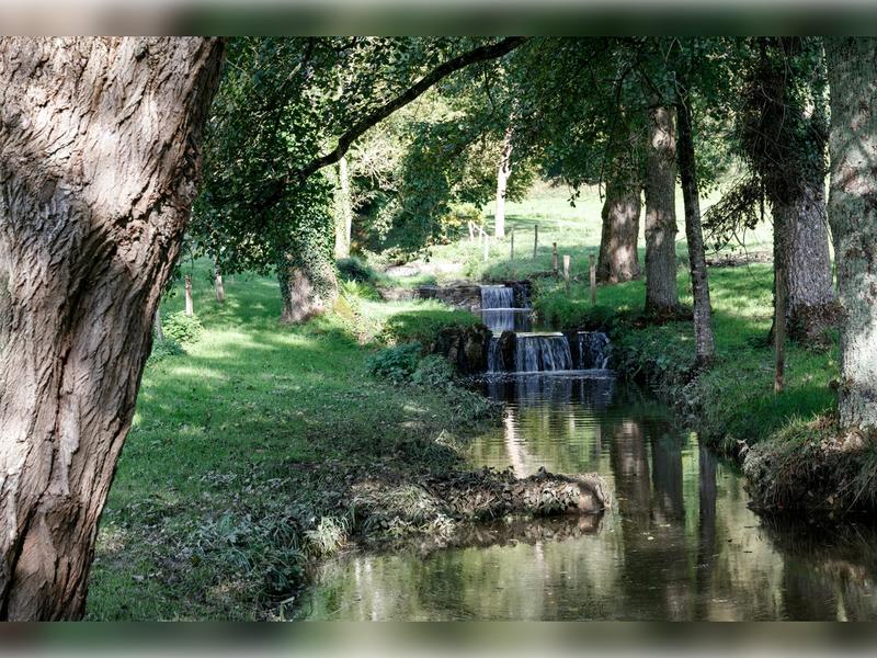 Colloque "Où sont passées nos énergies ?"
