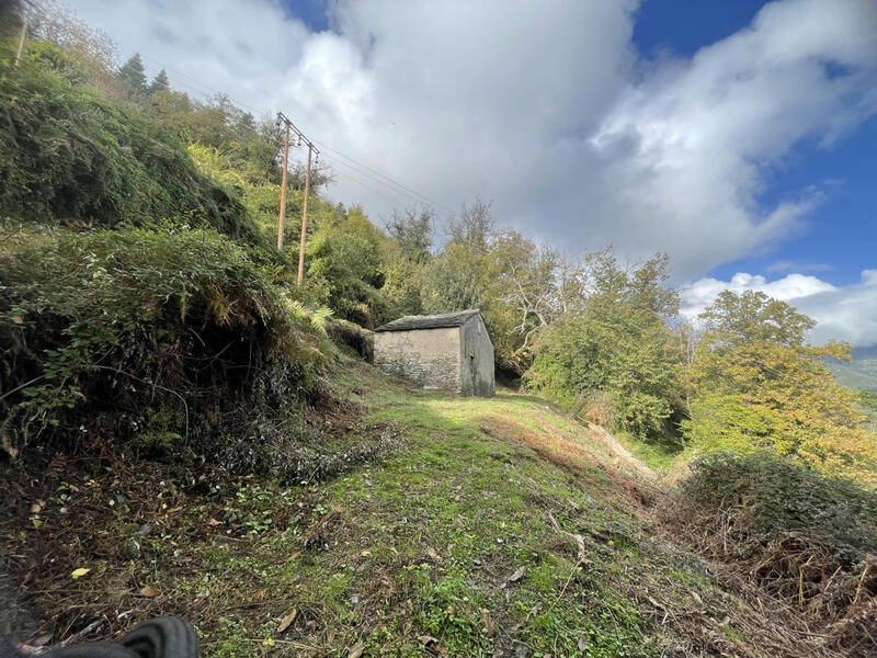 Maison - 40 m² - 2 pièces