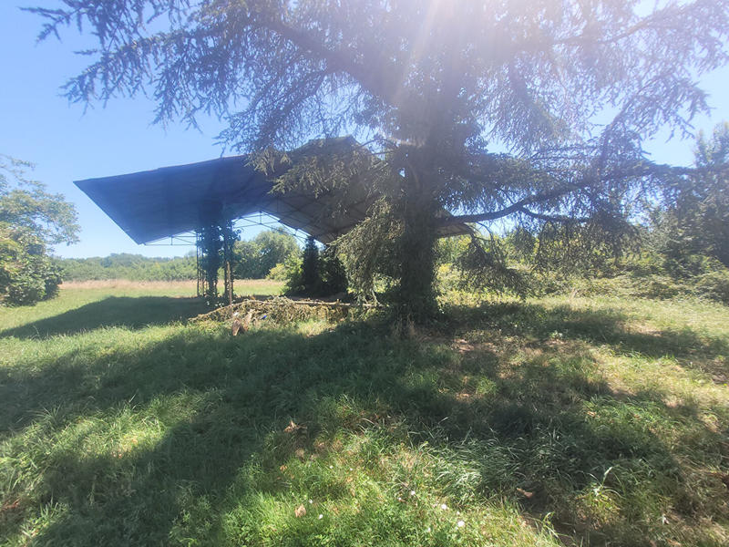 Terrain agricole - 631 244 m²