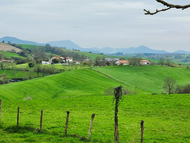 Propriété - 271 m² - 8 pièces