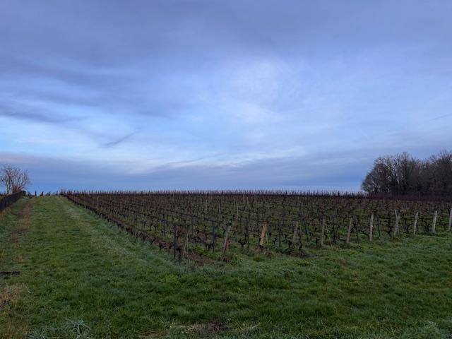 Terrain constructible - 551 m²