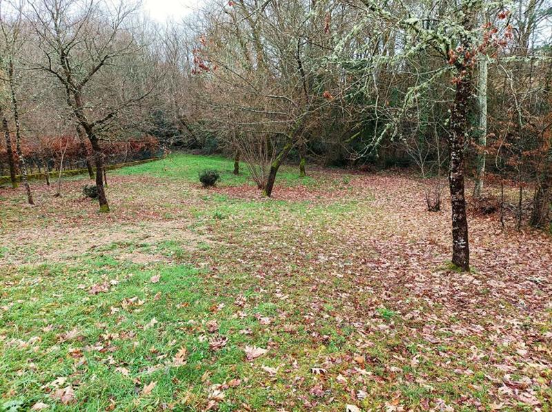Terrain constructible - 1 203 m²