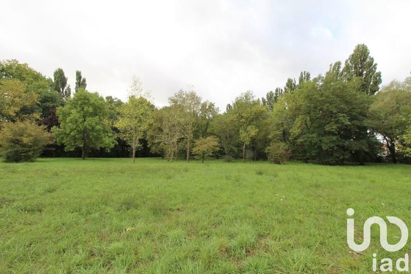 Appartement - 85 m² - 5 pièces