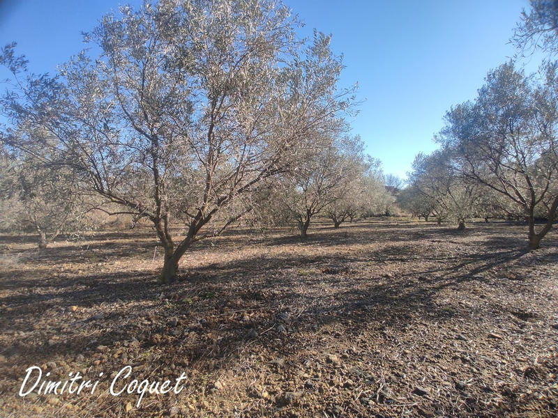 Terrain agricole - 3 000 m²