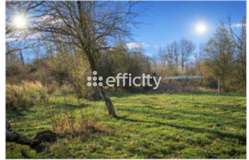 Terrain - 3 601 m²