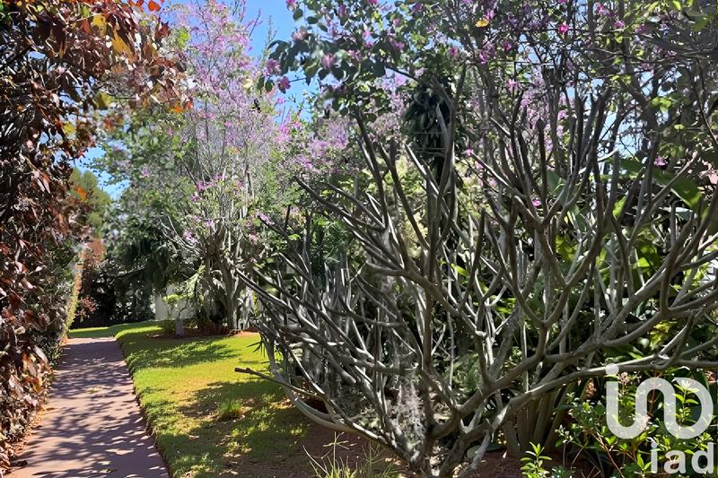 Appartement - 77 m² - 5 pièces