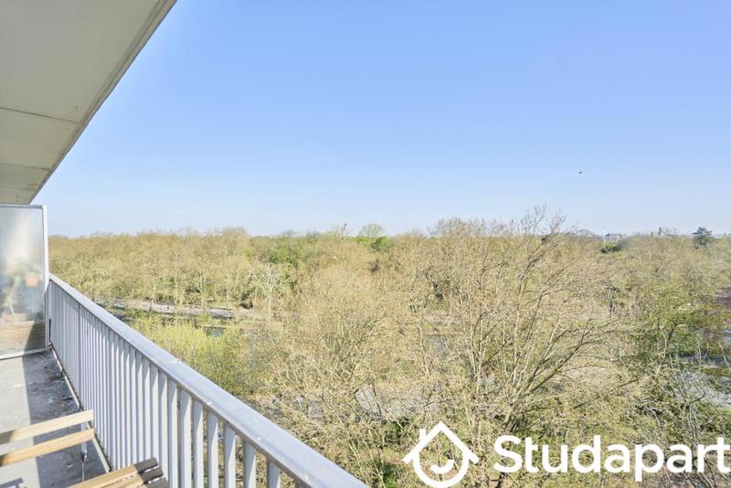 Chambre - 11 m² - 1 pièce