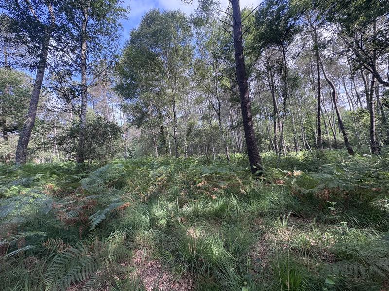 Terrain - 141 093 m²