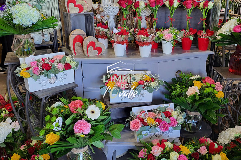 Fonds de commerce - 60 m²