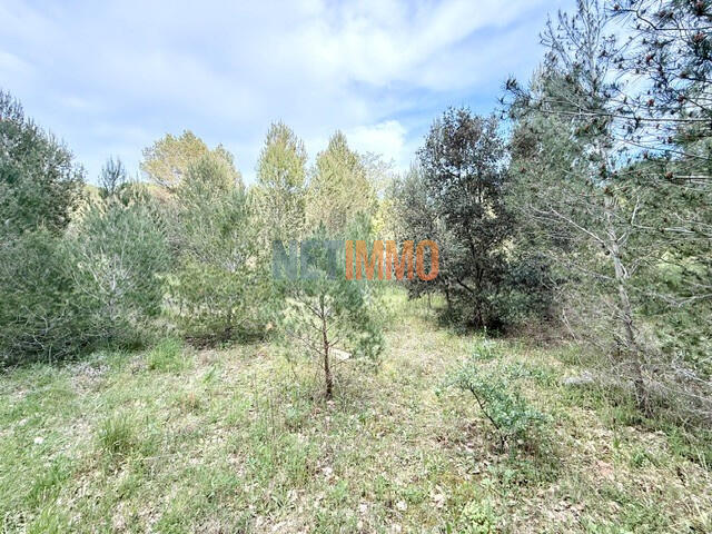 Terrain de loisirs - 8 000 m²